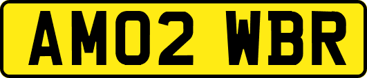 AM02WBR