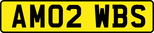 AM02WBS