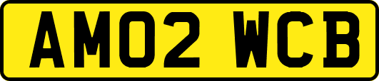 AM02WCB