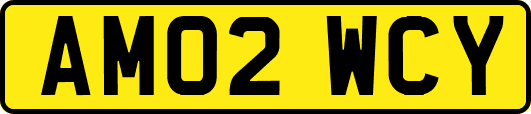 AM02WCY