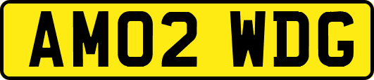AM02WDG