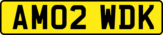 AM02WDK