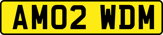 AM02WDM