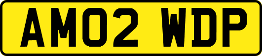 AM02WDP