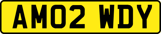 AM02WDY