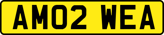 AM02WEA