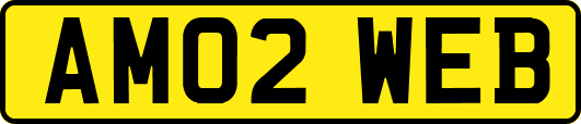 AM02WEB