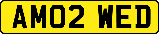 AM02WED