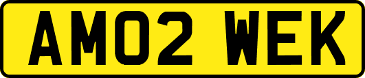 AM02WEK