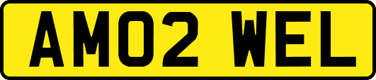 AM02WEL