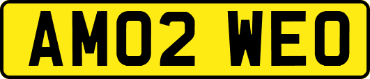 AM02WEO
