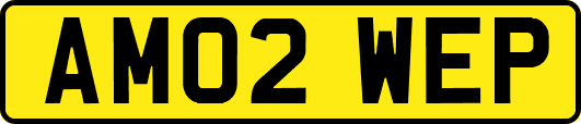 AM02WEP