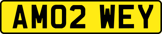 AM02WEY