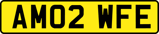 AM02WFE