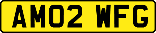 AM02WFG