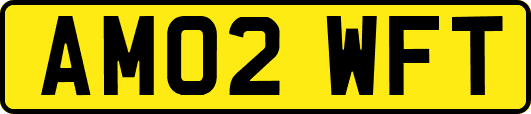 AM02WFT