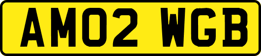 AM02WGB