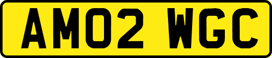 AM02WGC