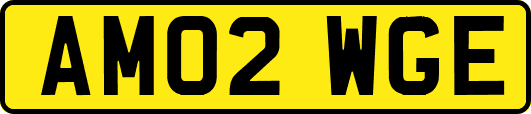 AM02WGE