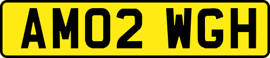 AM02WGH