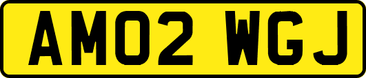 AM02WGJ