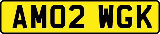AM02WGK