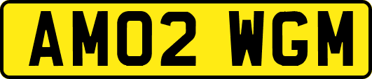 AM02WGM