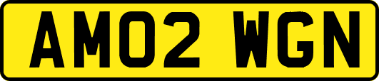 AM02WGN