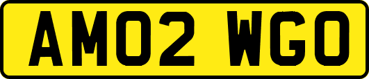 AM02WGO