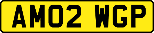 AM02WGP