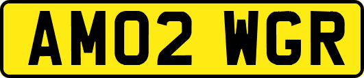 AM02WGR
