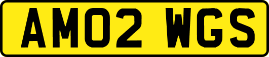 AM02WGS