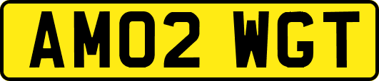 AM02WGT