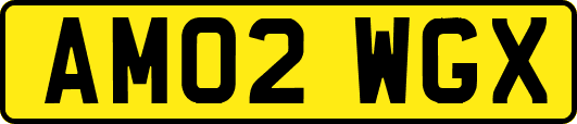 AM02WGX