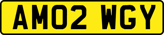 AM02WGY