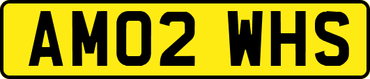 AM02WHS