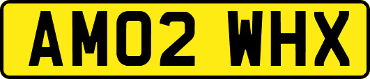 AM02WHX