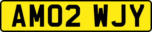 AM02WJY