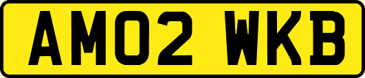 AM02WKB
