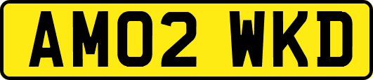 AM02WKD