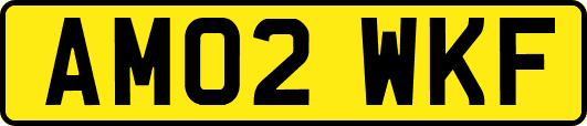 AM02WKF