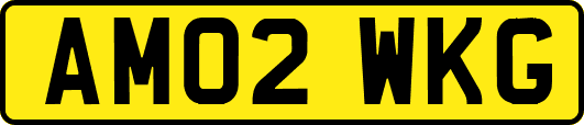 AM02WKG