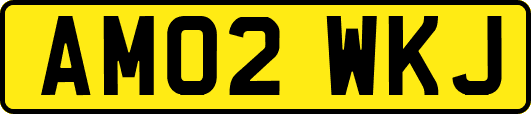 AM02WKJ