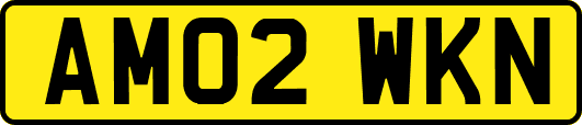 AM02WKN