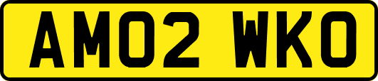AM02WKO