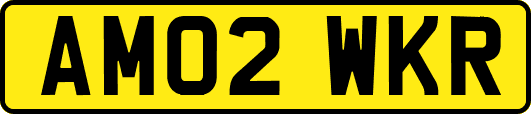 AM02WKR