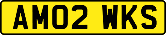 AM02WKS