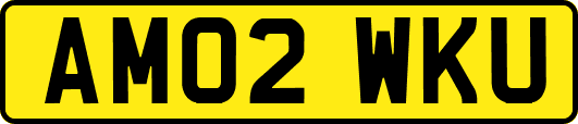 AM02WKU
