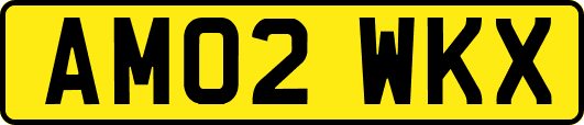 AM02WKX