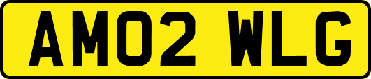 AM02WLG